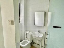 Botanic Gardens Mansion (D10), Apartment #464987061